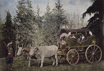 Promenadenwagen der türkischen Damen